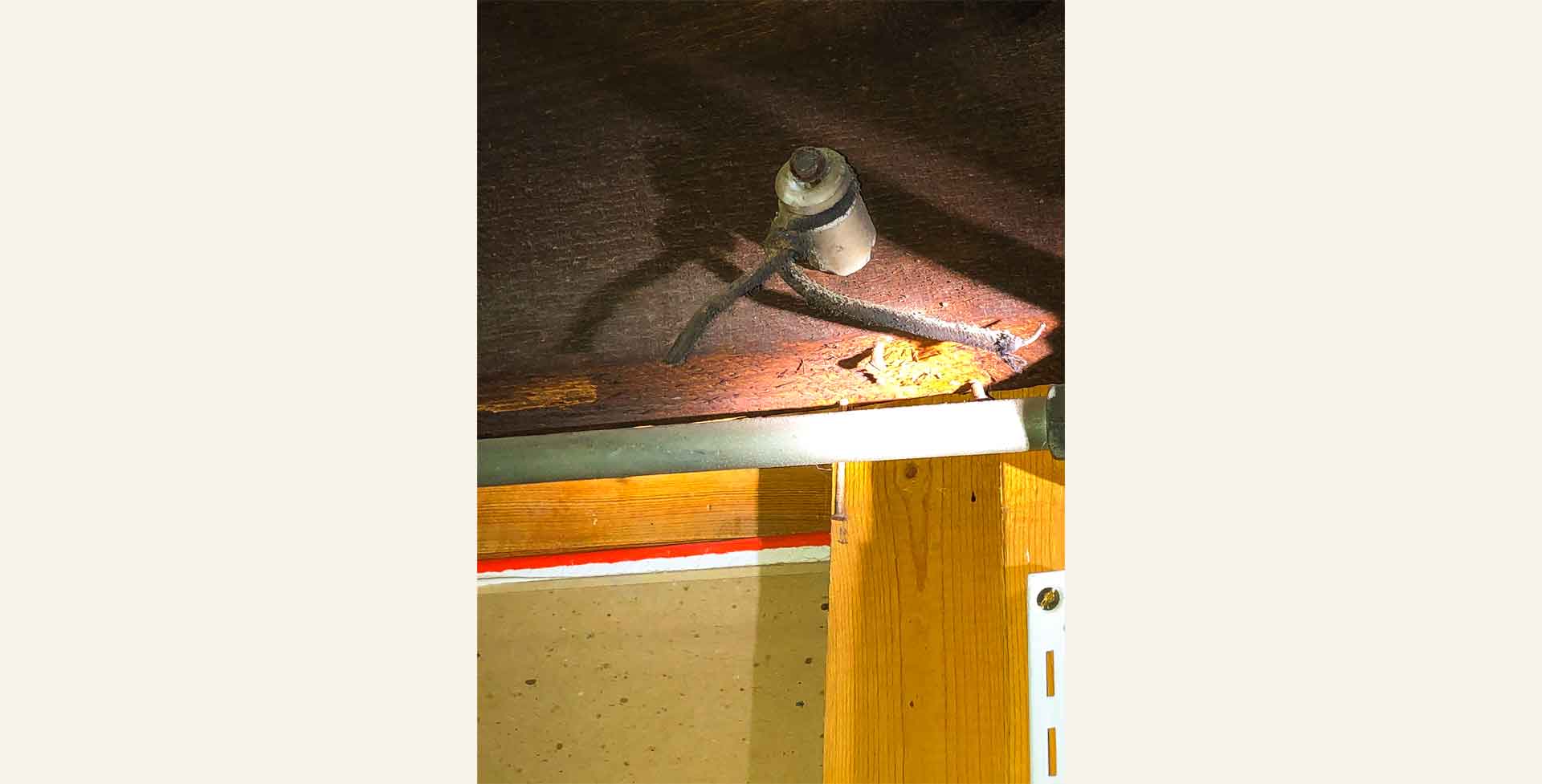 Basement beam with old disabled knob and tube wiring
